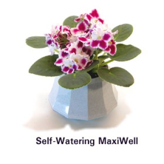 maxiwell_self-watering